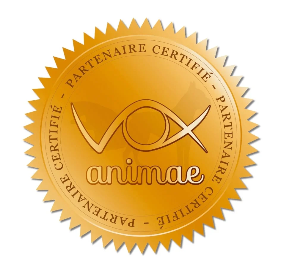 vox-animae